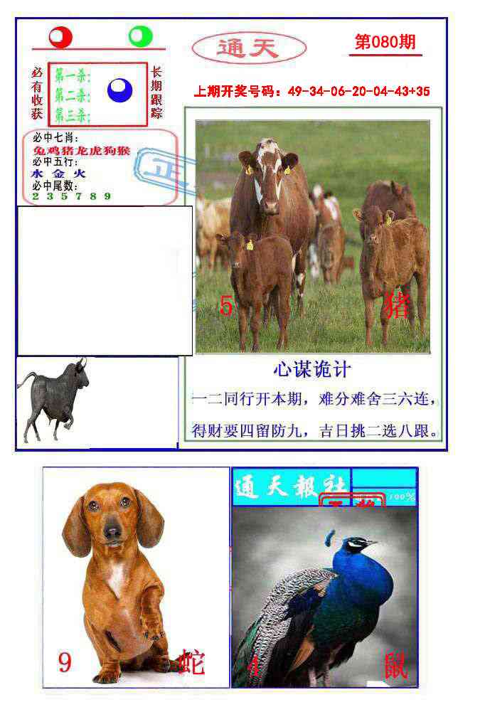 080期通天杀波图2[图]